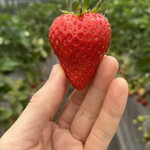 姫路ハートフル観光農園 - 