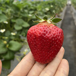 姫路ハートフル観光農園 - 