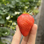 姫路ハートフル観光農園 - 