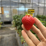 姫路ハートフル観光農園 - 