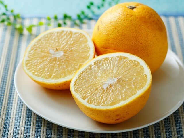 バル レストラン モデルノ（BAR RESTAURANTE MODERNO） - 広瀬通（スペイン料理）の写真