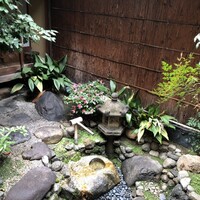 雪梅花 菜根譚 - 