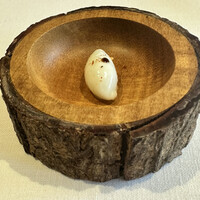 山地陽介 - 