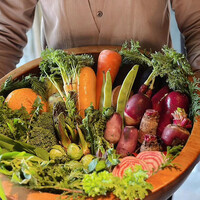 レフェルヴェソンス - 