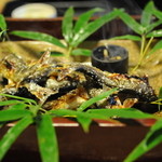 Hirasansou - 天然鮎の塩焼き