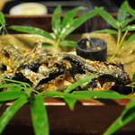 比良山荘 - 天然鮎の塩焼き
