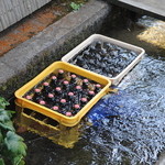 比良山荘 - 天然水で冷やすビール