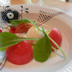 ファニエンテ - ＜7月＞水牛のミルクのモッツァレラ、大分県産シュシュトマト、マイクロトマト、ルッコラ