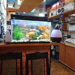 ガガルスパイス - 金魚ばちに金魚