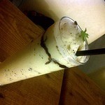 柊山ガーデン - チョコミルクフラペチーノ