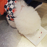 Les deux Bleue - アッ！という間に！！完食