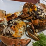 四川料理 蜀彩 - 上海蟹メスオス食べ比べセット
