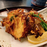 日本料理 鯉城 - 桜海老のかき揚げ、山菜の天麩羅