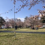 萬宝飯店 - 西公園の桜も咲いてきました。