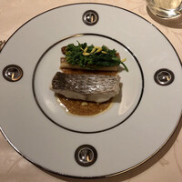 コートロティ - 