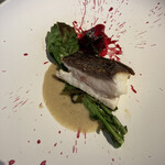 アシメトリィ - 