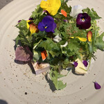 アシメトリィ - 