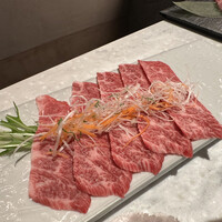 PONGA PREMIUM - 