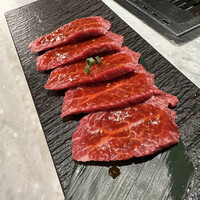 PONGA PREMIUM - 