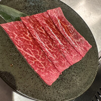 PONGA PREMIUM - 