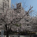 お好み焼き はやし - 