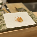 天白 - さいまきエビ(頭)