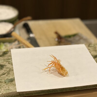 天白 - さいまきエビ(頭)