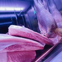 焼肉㐂舌 南船場 - 