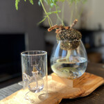 MORIASOBI Mori no Lounge