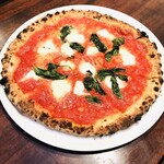 サルテリア デイジー - マルゲリータ