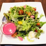 サルテリア デイジー - オーガニックサラダ
