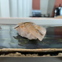 日本料理 「風花」 コンラッド東京 - 
