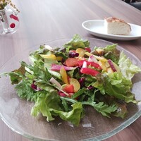 リストランテ アクアパッツァ - 