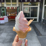 本家 西尾 八ツ橋 平安神宮店 - さくらバニラミックス