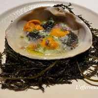 レフェルヴェソンス - 