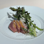 フォリオリーナ・デッラ・ポルタ・フォルトゥーナ - 