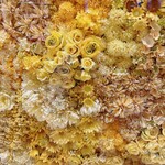 ロクシタンカフェ SHIBUYA TOKYO - 