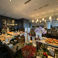 XEX TOKYO / Salvatore Cuomo Bros. - 