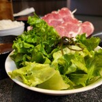 Jingisukan Yakiniku Miyanomori - セットのサラダです。