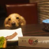 焼肉ぽんが 江ノ島 - 