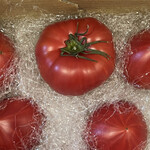 大島トマト農園 - 美味しそうでしょう？美味しいですよ꒰ঌ(๑≧ᗜ≦)‪໒꒱⋆⸜♡⸝‍⋆