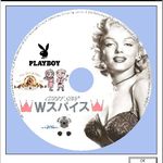 Wスパイス - お店にプレゼントしたCD-Rその②