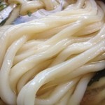 手打ちうどん こころ - かけうどんズーム