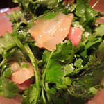 十番右京 - 真鯛パクチーサラダ
