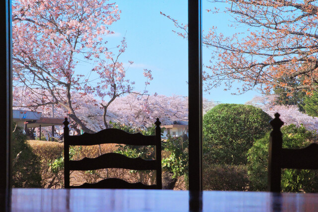 レストランパティオ - 水沢（洋食）の写真