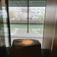 弧柳 - 