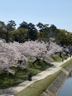 Janome Zushi - 岡崎公園。