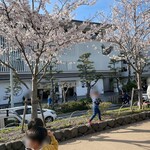 豊島屋 - 桜満開の参道からの店舗です