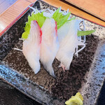 漁師食堂うのしま豊築丸 - 刺身