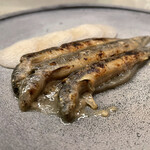 アントシカダ - 